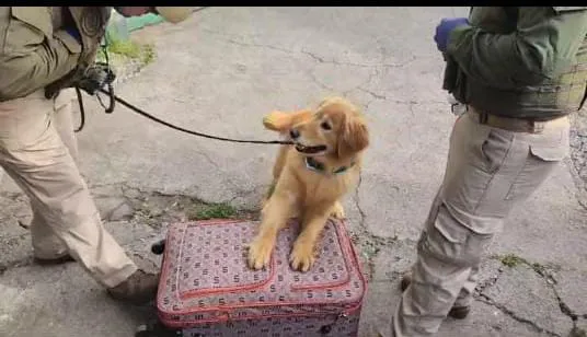 WhatsApp-Image-2024-10-02-at-18.14.40-1