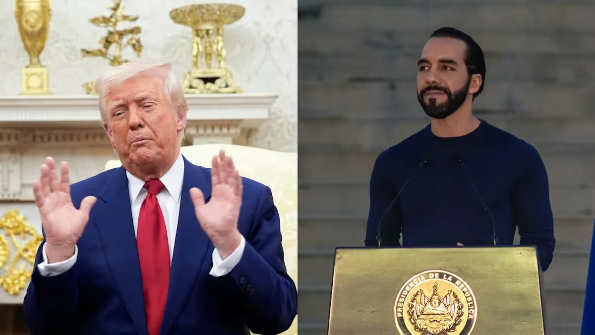 4UR6DEWC7FB2NFF2AD3LMI4OKI_1