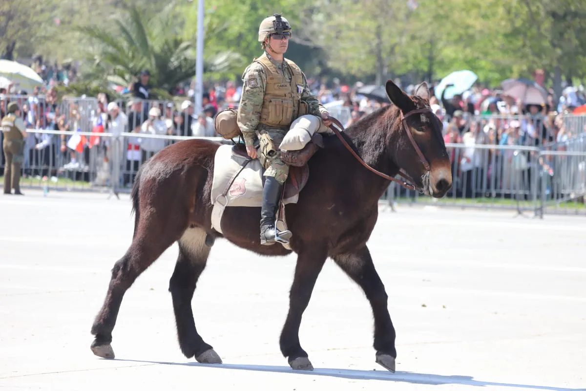 Gran Parada Militar 2025. Fotógrafo Cristian Daniel González Henríquez para The Times en Español 