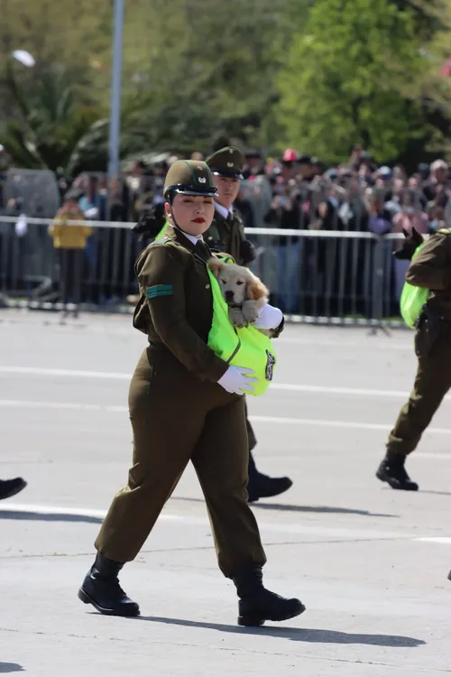 Imagen de WhatsApp 2024-09-19 a las 14.45.14_0e4def59