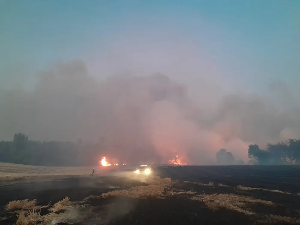 Incendios en Ñuble