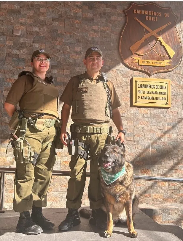 Imagen de WhatsApp 2025-04-07 a las 23.10.31_7035ed4a