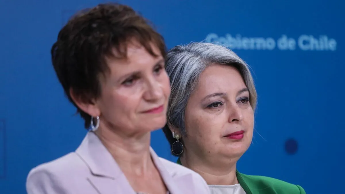 Toha y jara