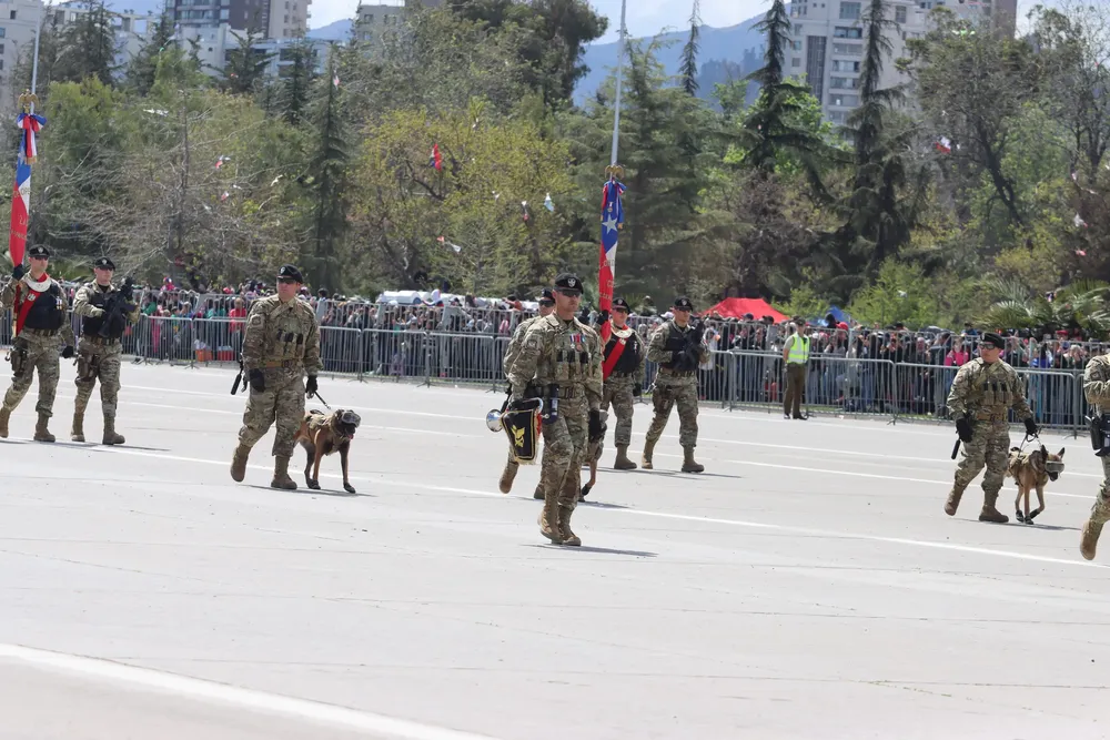 Imagen de WhatsApp 2024-09-19 a las 14.44.43_f448087f