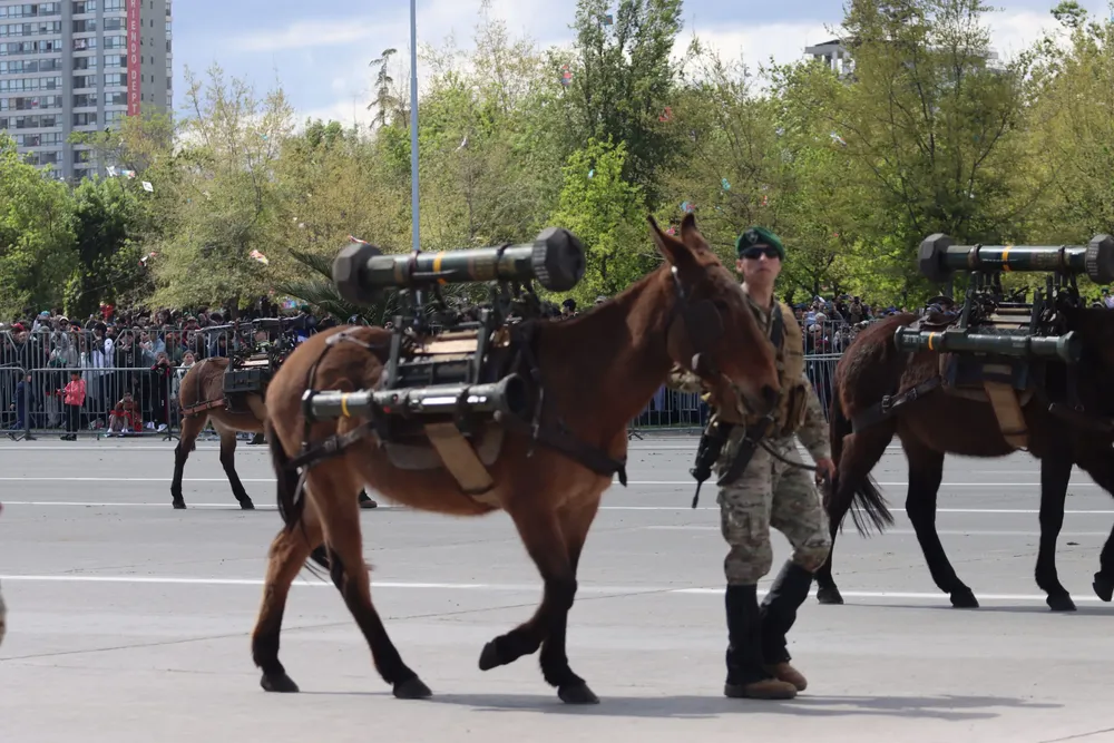 Imagen de WhatsApp 2024-09-19 a las 14.44.44_e2d5547d