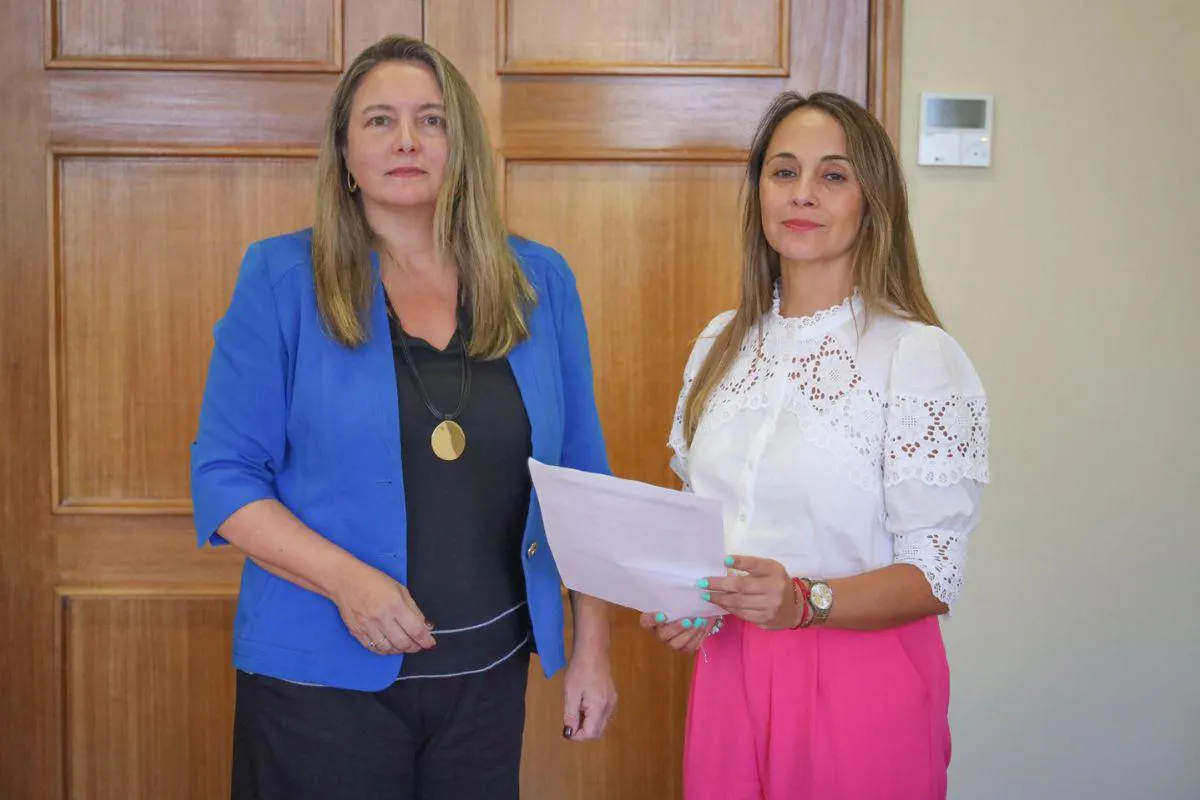 Comisión de Discapacidad