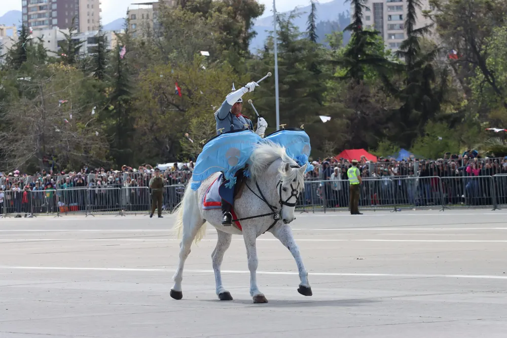 Imagen de WhatsApp 2024-09-19 a las 14.42.54_85a8930b