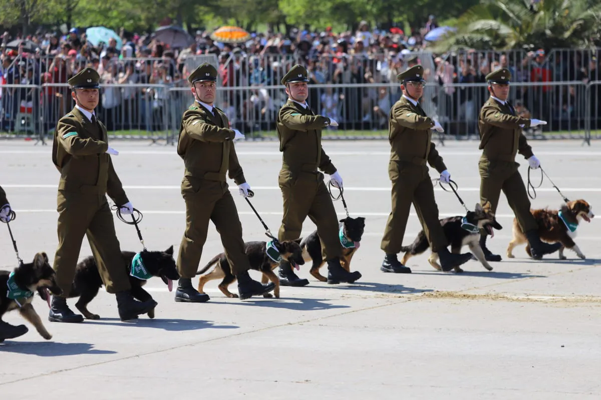 Gran Parada Militar 2025. Fotógrafo Cristian Daniel González Henríquez para The Times en Español 