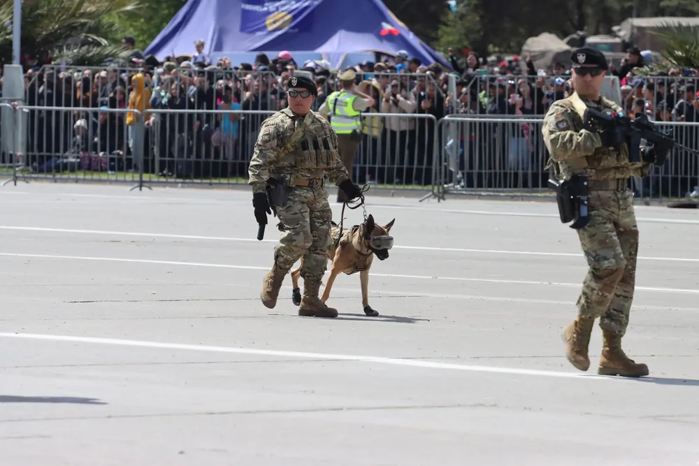 Imagen de WhatsApp 2024-09-19 a las 14.44.42_66e5d6f3