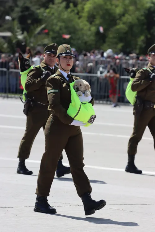 Imagen de WhatsApp 2024-09-19 a las 14.45.14_e5e9c95a