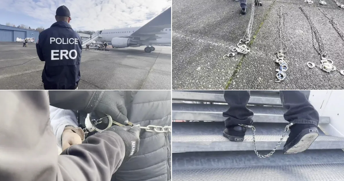 ice-video