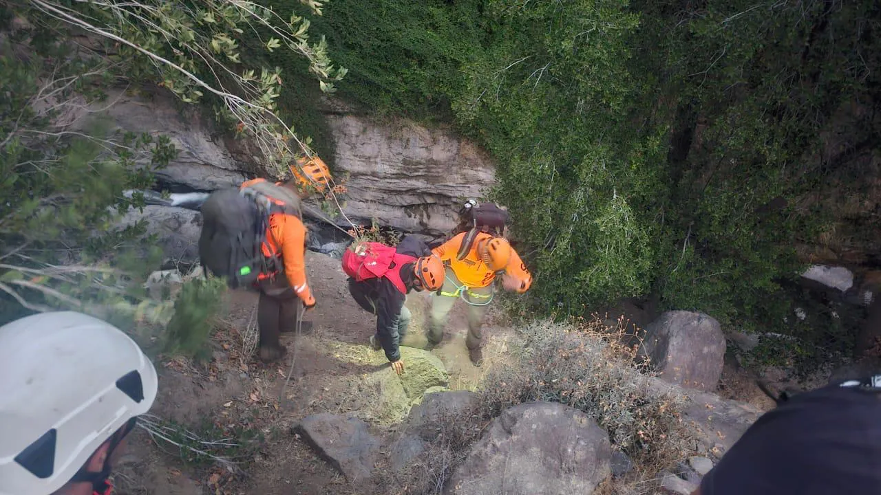 Imagen de WhatsApp 2025-04-18 a las 20.51.30_174c4c27