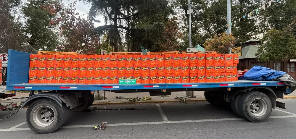 Imagen de WhatsApp 2025-04-17 a las 23.15.20_05ea5e3c