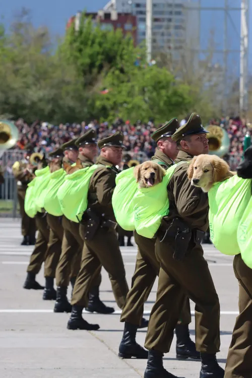 Imagen de WhatsApp 2024-09-19 a las 14.45.12_f35fb804