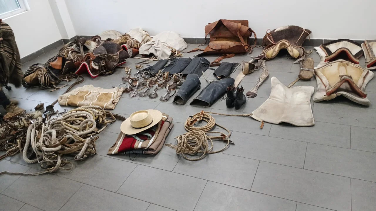Detención de sospechosos por robo de aperos en Curicó, Carabineros en acción.