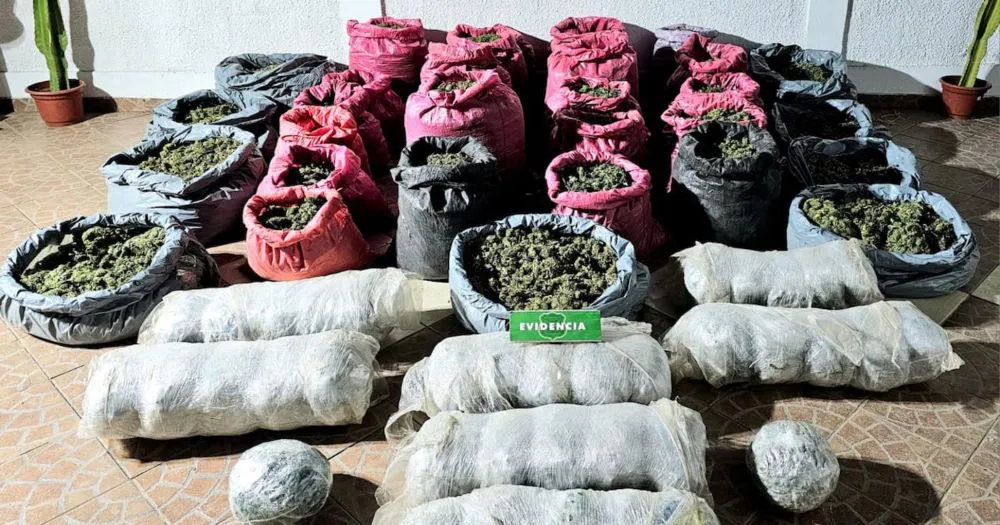 bafkreid4fzz5qcwakxiglyvxptvoeton36w7rj2kild3dsdigfnbwbh7le