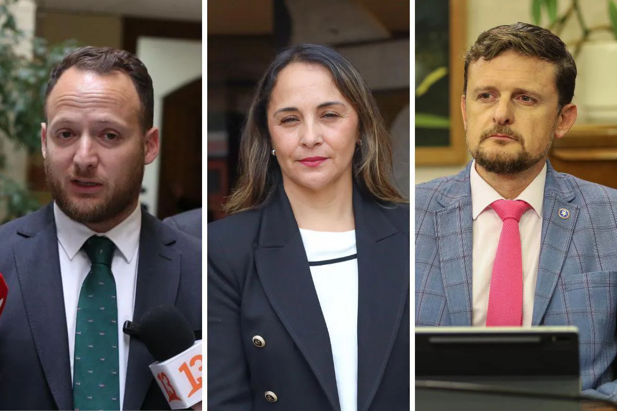 Diputados de oposición