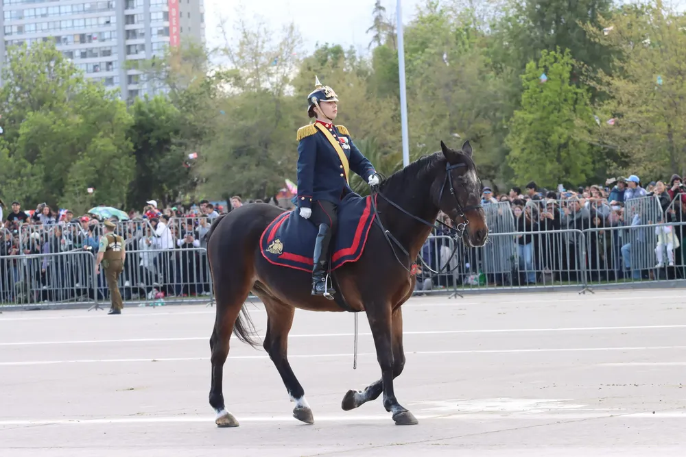 Imagen de WhatsApp 2024-09-19 a las 15.04.08_5e4b0d46