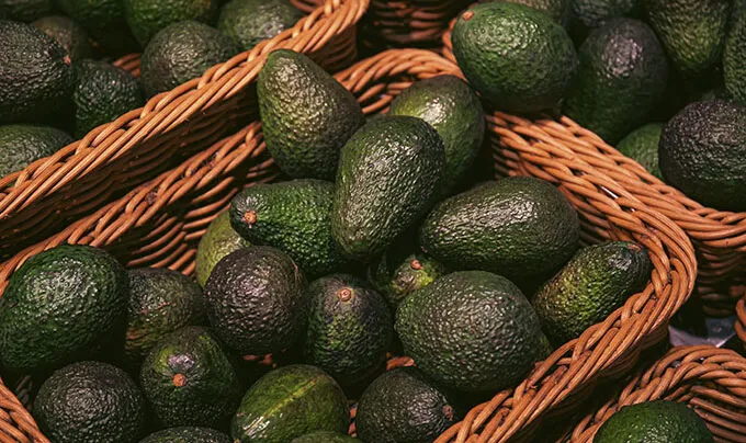 Palta peruana