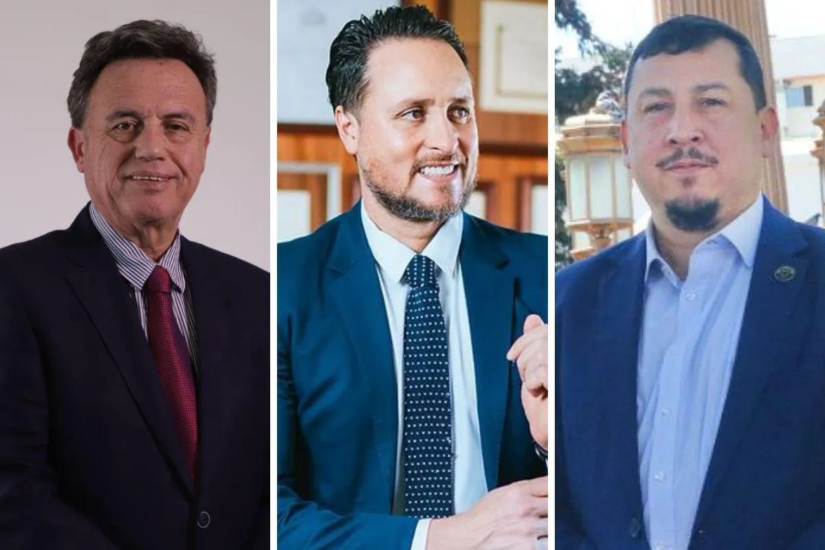 Mulchen Puerto Montt Concepción (1)