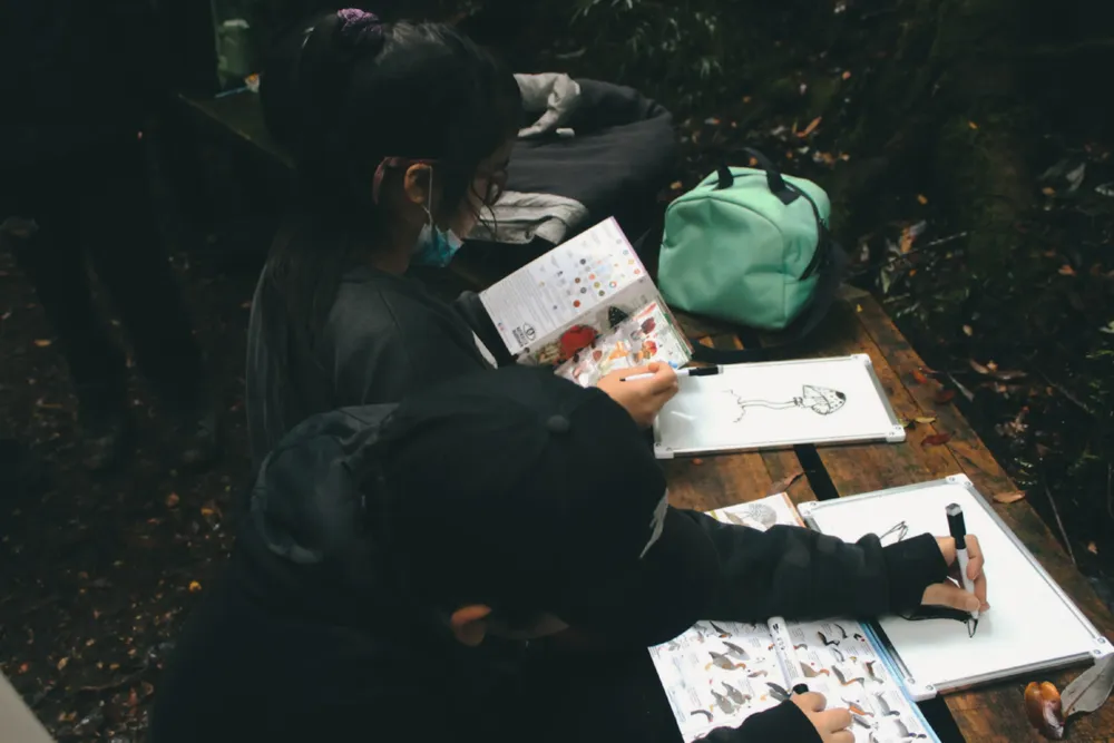 Programa de Educación Ambiental de Tantauco