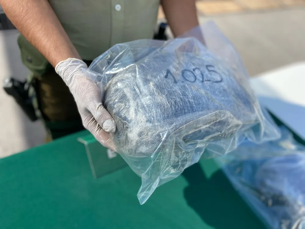 Imagen de WhatsApp 2025-04-01 a las 17.01.46_a1088afb