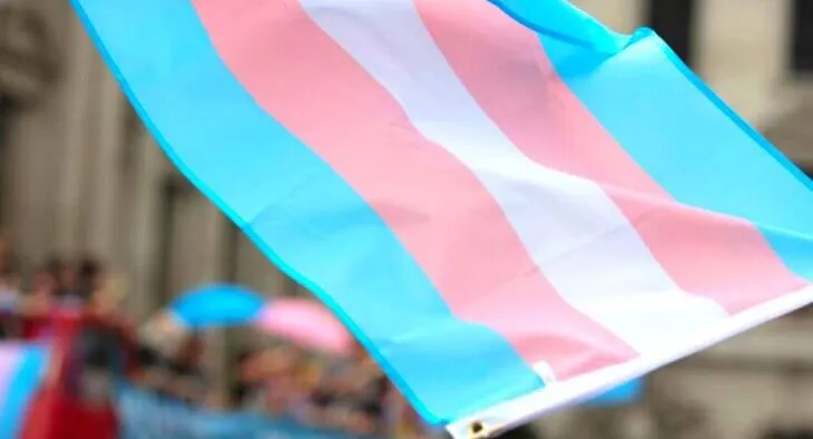 Bandera trans Movilh