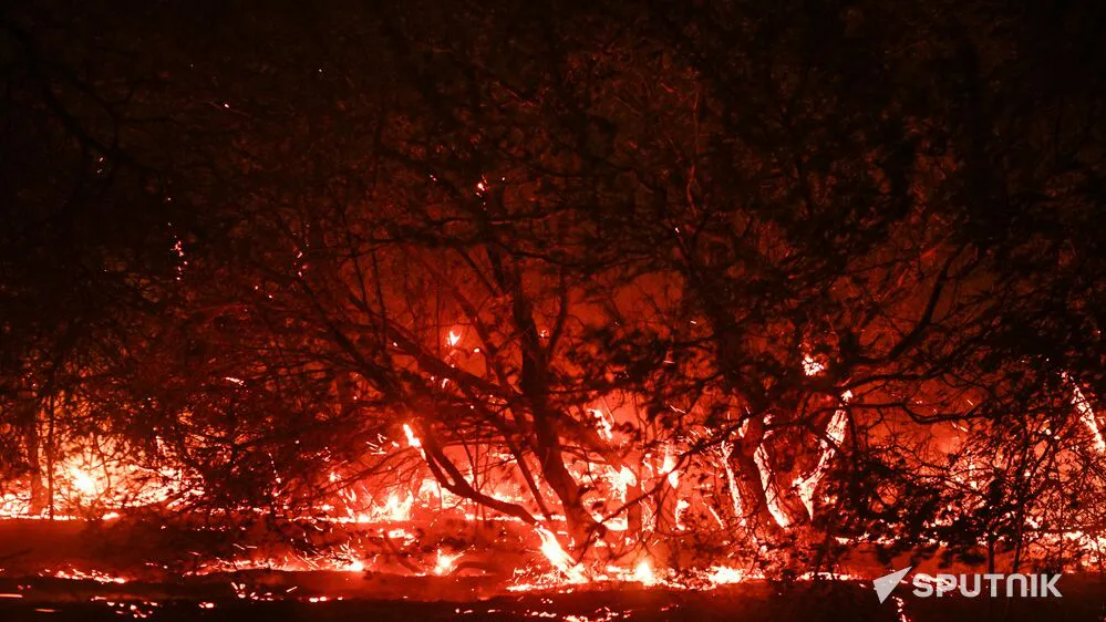 000008765679_0_697_7209_4752_1000x0_80_12_1_1e88ba1e325e154c7fa7648d4b8bf343