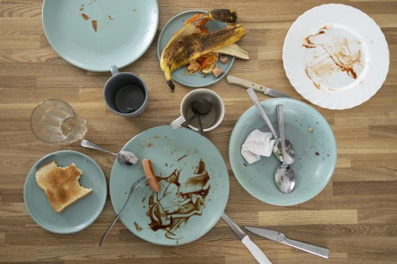Alimentos