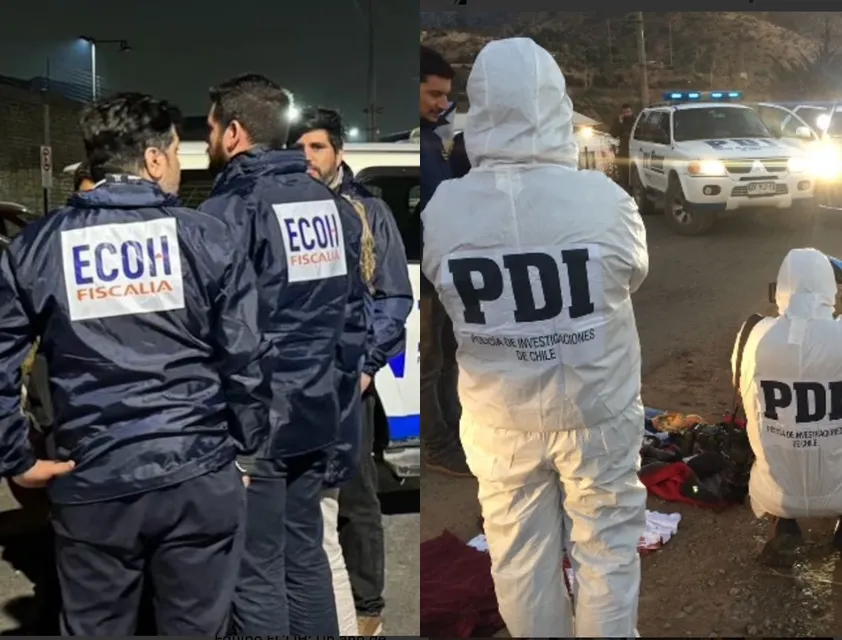 Delitos policiales