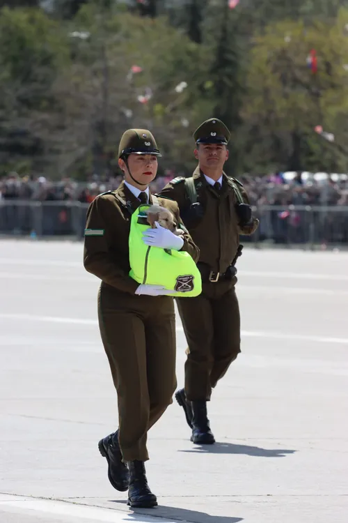 Imagen de WhatsApp 2024-09-19 a las 14.45.13_dac0315f