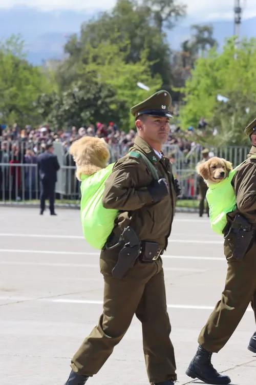 Imagen de WhatsApp 2024-09-19 a las 14.45.13_acd9a0b1