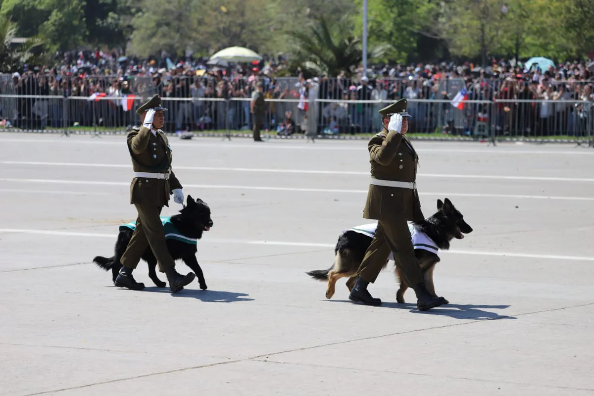 Gran Parada Militar 2025. Fotógrafo Cristian Daniel González Henríquez para The Times en Español 