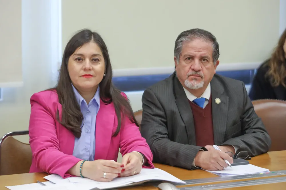 Karen Medina (IND-DC) y Roberto Arroyo (PSC)