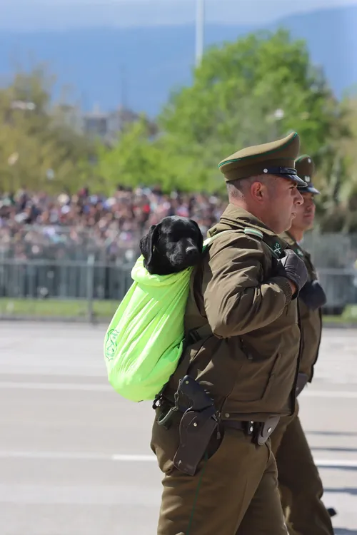 Imagen de WhatsApp 2024-09-19 a las 14.45.12_d19972e1