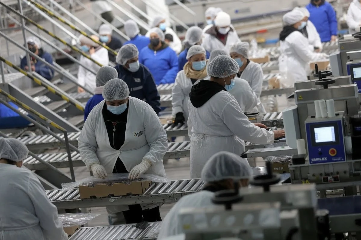 Trabajadores en Chile / The Times Latino
