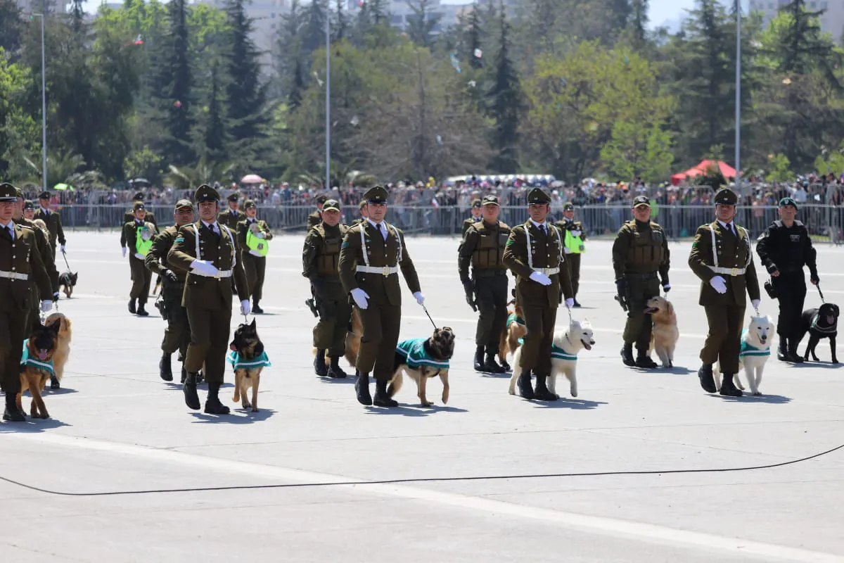 Gran Parada Militar 2025. Fotógrafo Cristian Daniel González Henríquez para The Times en Español 
