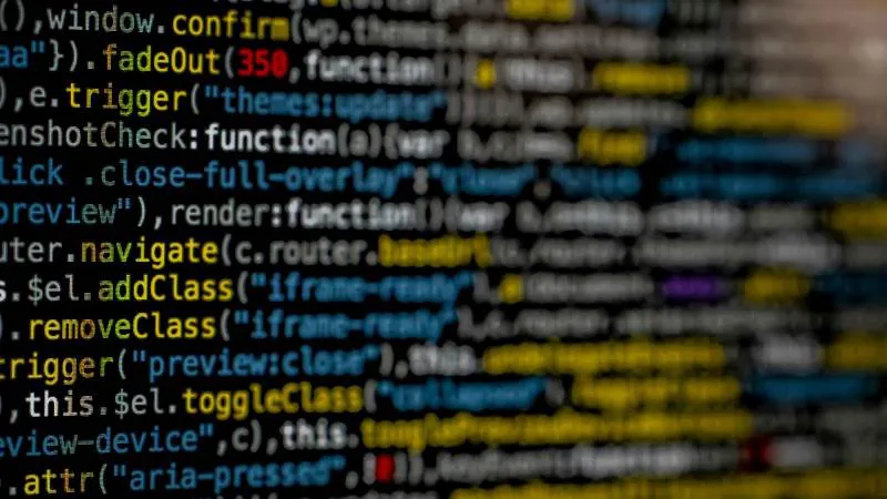 Predatory Sparrow UN S P L A S H / M A R K U S S P I S K E