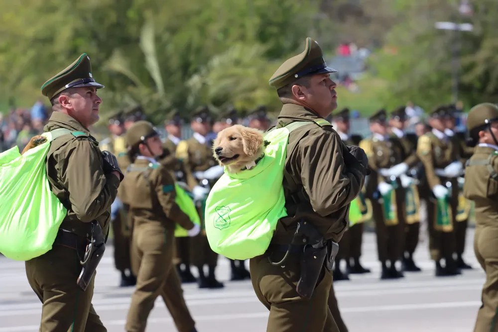 Imagen de WhatsApp 2024-09-19 a las 14.45.11_7440969c