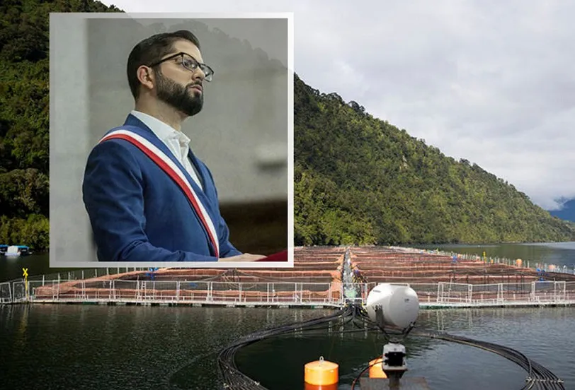 salmoneras-tres-años-gobierno-boric