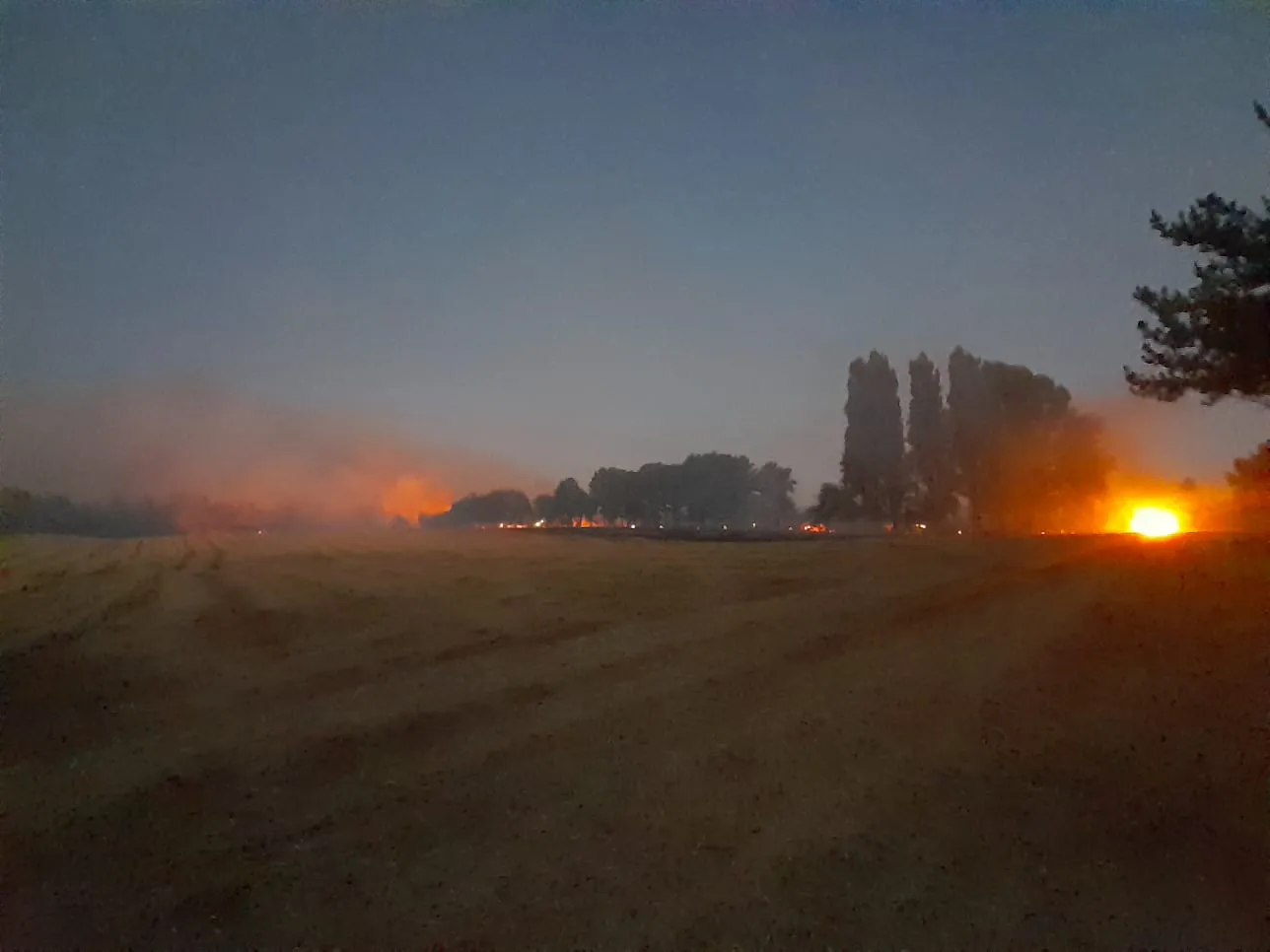 Incendios en Ñuble
