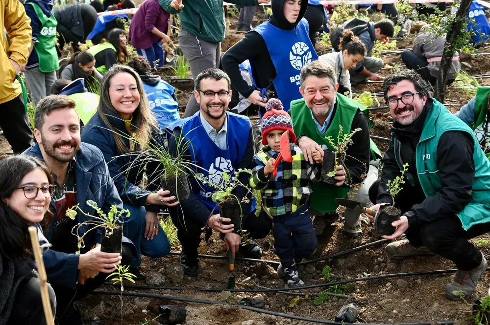 Bosques de Bolsillo (1)