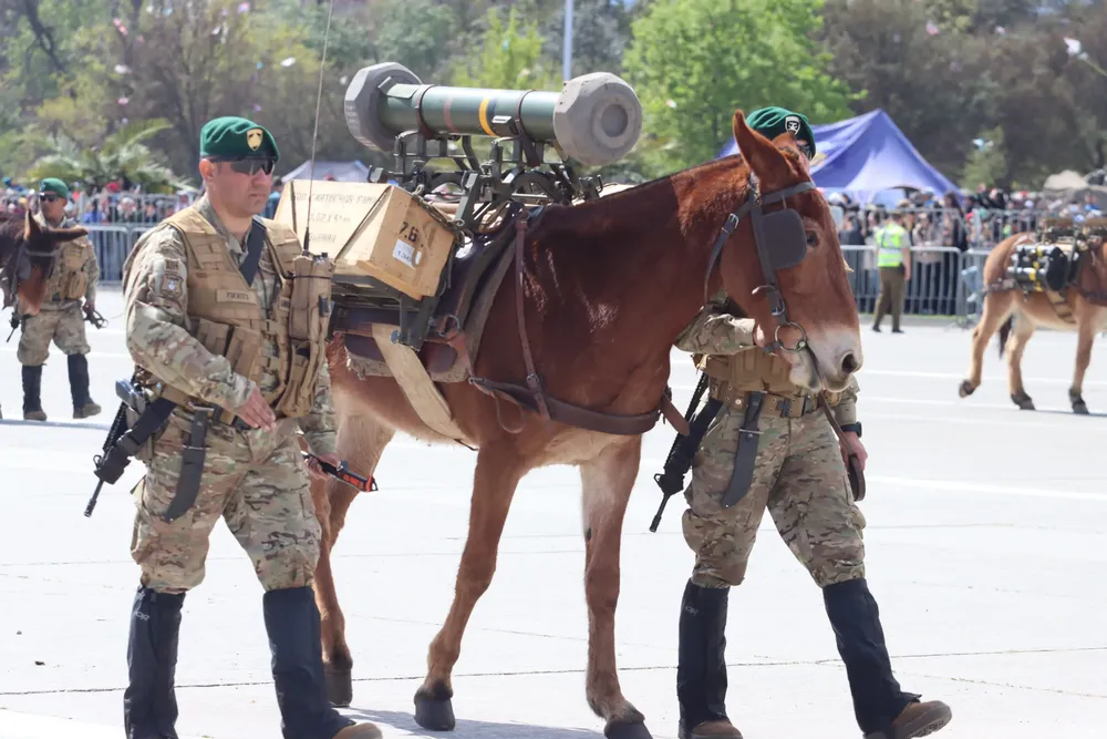 Imagen de WhatsApp 2024-09-19 a las 14.44.43_2614ab99