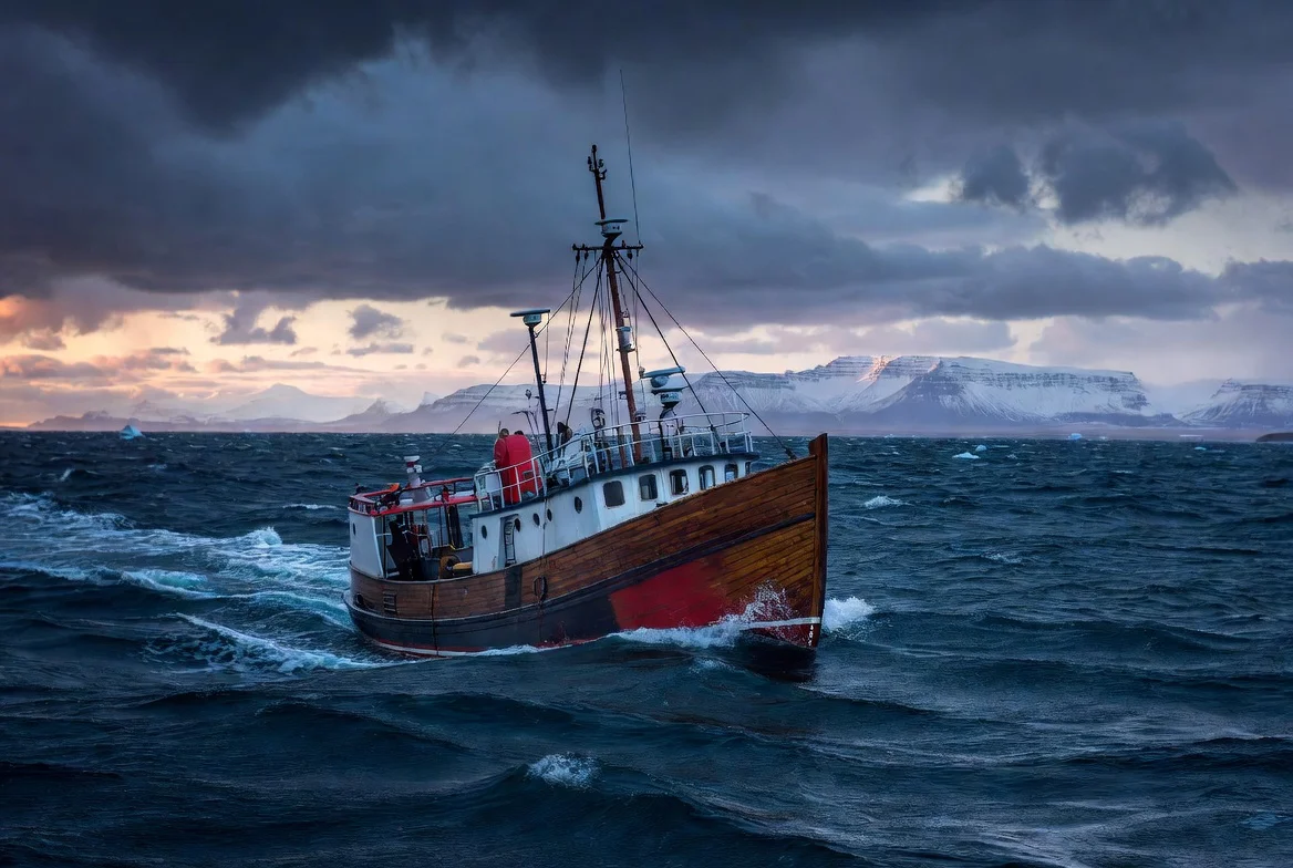 Barcos balleneros Hvalur zarparon del puerto de Reikiavik en junio de 2026/ The Times Latino