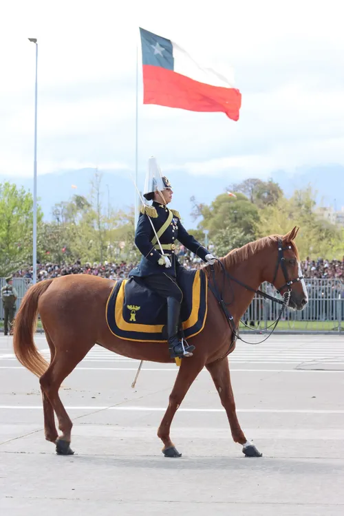 Imagen de WhatsApp 2024-09-19 a las 15.03.18_a3b7255f