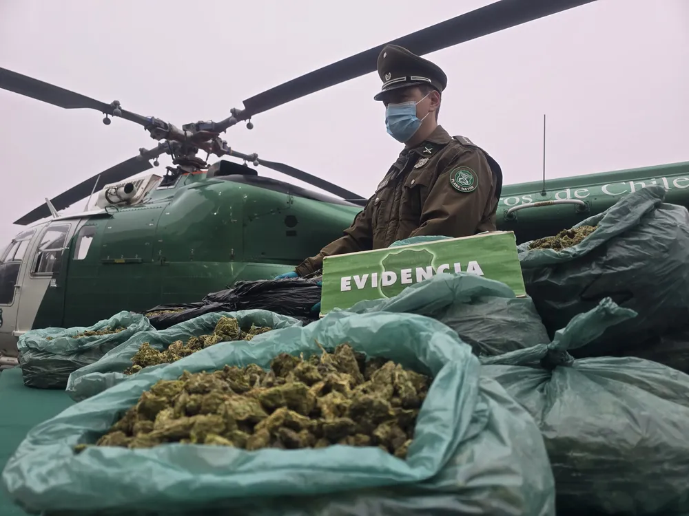 OS7 golpea narcotráfico en Limarí con decomiso récord